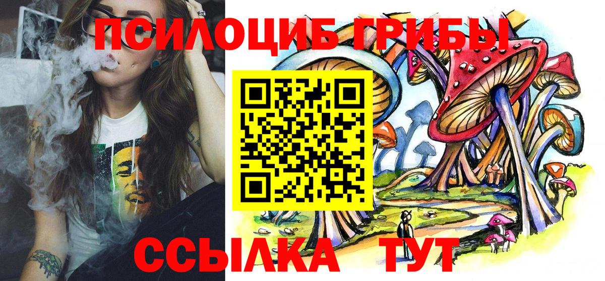 купить наркотики сайты  Псилоцибиновые грибы прущие грибы  Вход с VPN  Кемерово 