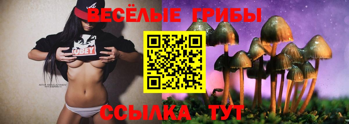 Галлюциногенные грибы GOLDEN TEACHER Кемерово